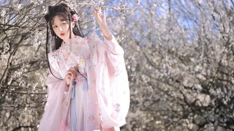 全国首例大飞机查封