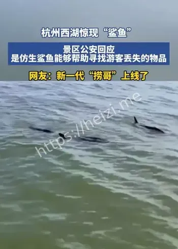 西湖鲨鱼传闻真相