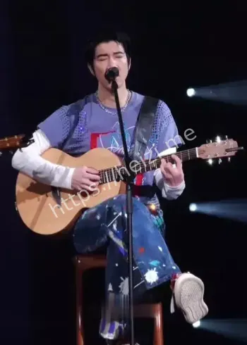 王力宏深圳演唱会成龙合唱